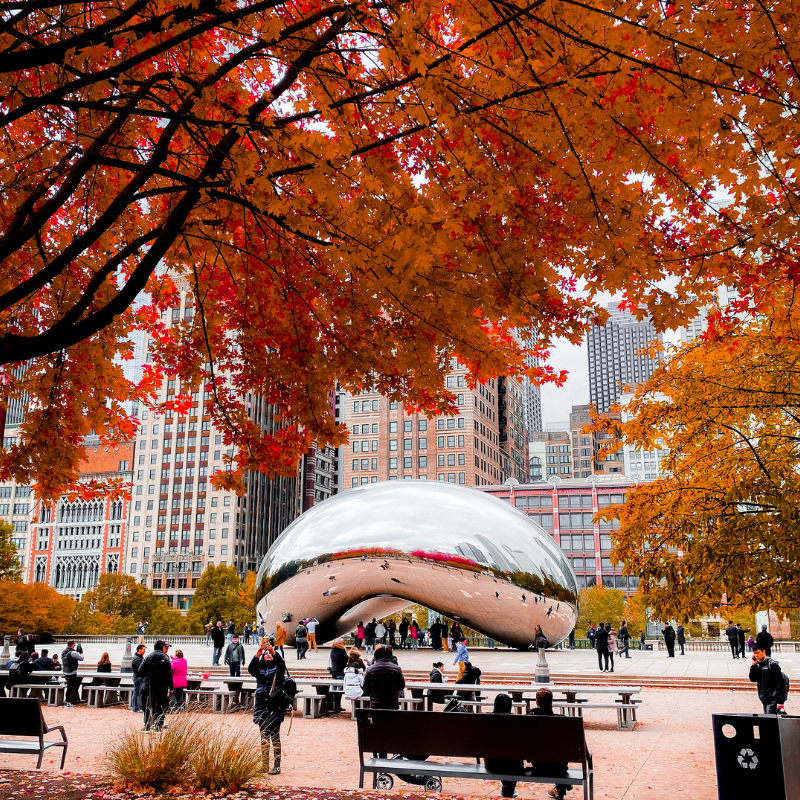 Chicago Fall Activities