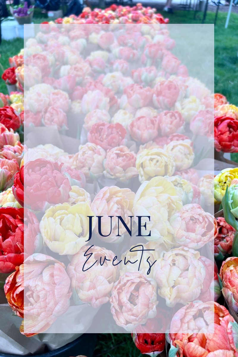 june-events-in-chicago-2023-your-lincoln-park-life