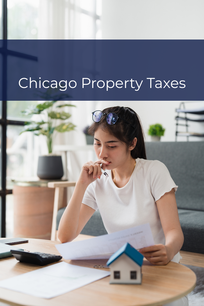 woman studying documents with laptop
